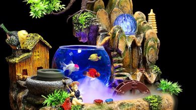 Thác nước phong thủy để phòng khách
