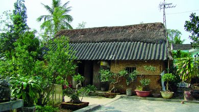 kiến trúc việt