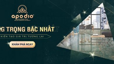 Gạch Apodio tại Hà Nội